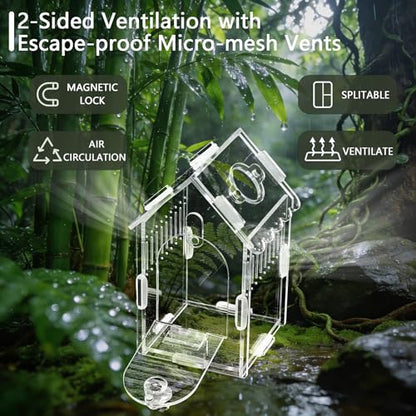 House-Shaped Acrylic Spider Enclosure, Clear Habitat with Feeding Port | Clear acrylic enclosure with feeding port, ventilation, and house-shaped design for jumping spiders and small invertebrates. - size: Acrylic House