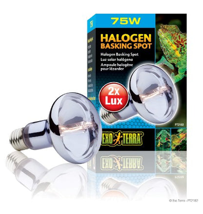Exo Terra Sun Glo Halogen Basking Spot Lamp | 75W Reptile Light Bulb, Broad Spectrum Daylight, Enhances Coloration, Promotes Health, PT2182 - size: 75 Watts