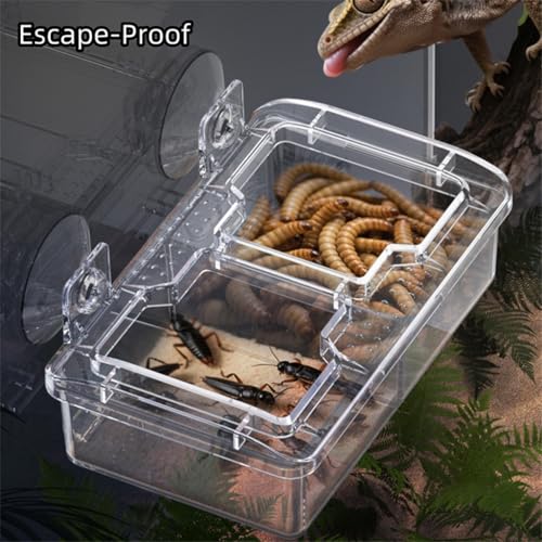 Escape Proof Small Reptile Feeding Dishes with Suction Cup | Mealworms Bug Feeder, Anti-Escape Food Bowl, Transparent Clear Plastic, Leopard Gecko Bearded Dragon Terrarium Accessories