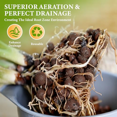 5qt LECA Clay Pebbles for Plants, 10-20mm LECA Balls for Hydroponics, Natural Clay Balls for Plants Drainage, Expanded Pebbles for Orchids, Soil Amendment, Orchid Potting Mix