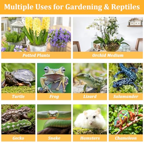 1.3LB Natural Sphagnum Moss for Reptile Terrarium Substrate Bedding | 24QT High Expansion, Moisture Retention, Helps Shedding, Long Fibers Dried Moss for Leopard Gecko, Snake, Frog, Turtle - size: 1.3LB
