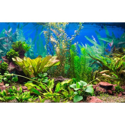 Aquarium Background Various Underwater Grass Plants Fish Tank Background Vivid Fresh Green Aquatic Plants Stone River Bed Dead Wood Purple Stone Terrarium Wallpaper 36x18in - color: Seagrass Green, size: 36(W)x18(H)inches/ 90(W)*45cm(H)
