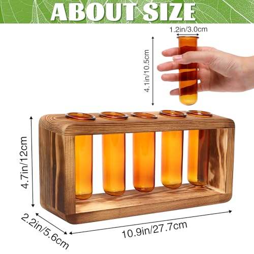 Glass Plant Propagation Station with 5 Test Tubes Colorful Planter Vase | Birthday Gifts for Women in Wooden Stand - color: Amber