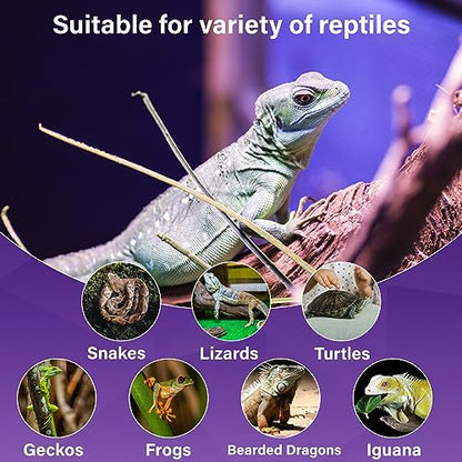 Reptile Heat Lamp Bulbs-100W Reptile Night Heat Bulb E26 Terrarium Heat Lamp Simulate Natural Moon Purple Light for Snake Bearded Dragon Leopard Gecko Lizard Chameleon Tortoise -2Pack