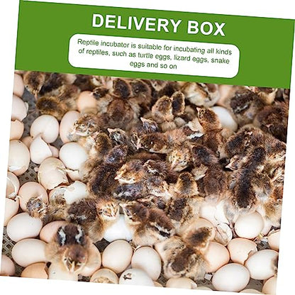 Mikikit 2pcs Reptile Hatchery Incubator Tray Compartments Egg Breeding Box for Snakes Lizards and Turtles Easy to Clean Lightweight Design