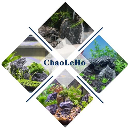 Aquarium Rocks Seiryu Stones Natural Hardscape Stone for Aquariums, Fish Tanks, Bonsai, Terrariums, Wargaming Dioramas, Indoor or Outdoor Gardens-5lb(2-6 Inch) - size: 5Lb (2-6 inch)