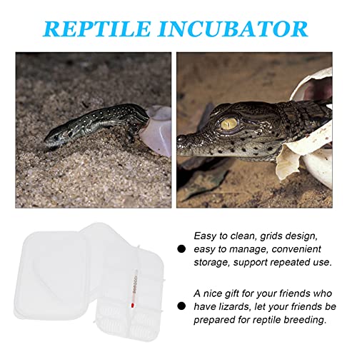 ERINGOGO 1pc Reptile Breeding Box Thermometer for Hatching Gecko Lizard and Other Reptile Eggs Lightweight and Compact Incubator Tray for Easy Use