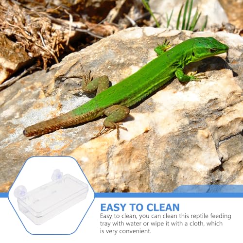 Beaupretty Reptile Feeder Bowl with Suction Cup Acrylic Anti-Escape Feeding Dish for Lizards Geckos and Small Reptiles Terrarium Water and Food Container