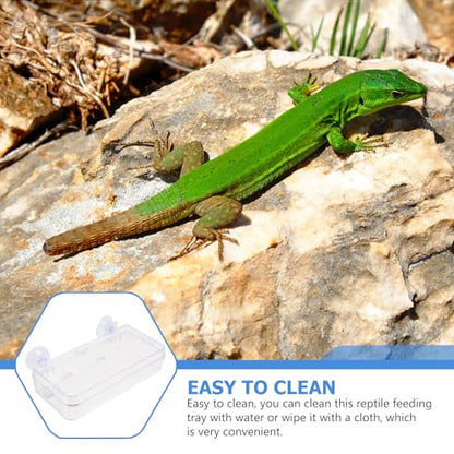 Beaupretty Reptile Feeder Bowl with Suction Cup Acrylic Anti-Escape Feeding Dish for Lizards Geckos and Small Reptiles Terrarium Water and Food Container