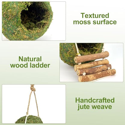 Handmade Moss Reptile Hanging Nest 4 Pcs Set, Large 6″ x 6″ | Gecko Hideout with Ladder, Terrarium Decor for Crested Gecko, Leopard Gecko, Lizard, Small Reptiles & Amphibians - size: Large 6″ x 6″