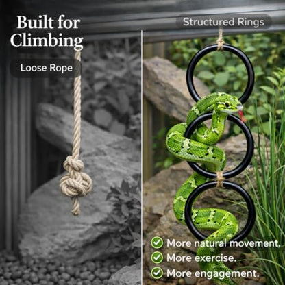 2PCS Snake Climbing Rings for Ball Python - Enrichment Toys for Corn Snake | Reptiletank Cage Decor Habitat Accessories | Terrarium, Bearded Dragon, Chameleon, Iguana, Gecko, Lizard, Parrot
