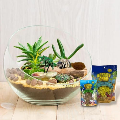 Needzo All in One Hermit Crab DIY Starter Pack, Gravel, Food, Mister Trainer, Sponge, and Palm Tree Feeder, Beginner Habitat Supplies Kit for Terrariums, Color May Vary, 5 Pieces