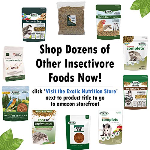 Premium Insectivore Diet (1.25lb) - Healthy Nutritious Chicken Based High Protein Pellet Diet - for Sugar Gliders, Hedgehogs, Opossums, Skunks & Other Insectivores - size: 1.25 Pound (Pack of 1)