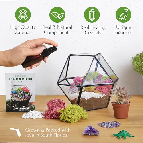 Creations by Nathalie DIY Terrarium Kit with Moss, Soil, Tools & Decor | DIY terrarium starter kit with moss, soil, pebbles, tools, crystals, and figurines for creating indoor plant displays.
