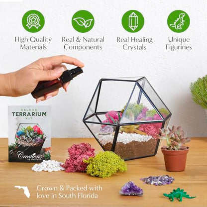 Creations by Nathalie DIY Terrarium Kit with Moss, Soil, Tools & Decor | DIY terrarium starter kit with moss, soil, pebbles, tools, crystals, and figurines for creating indoor plant displays.