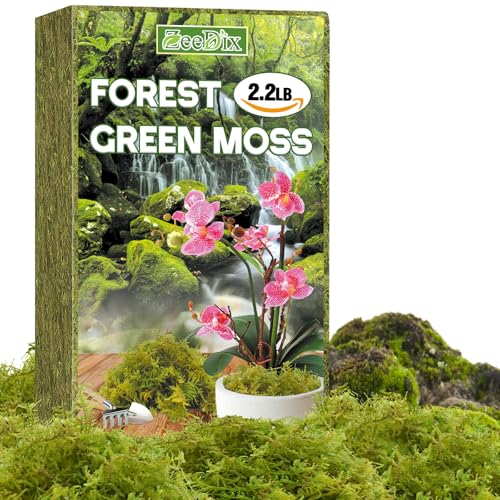 Natural Sphagnum Moss, 2.2 lbs Moss for Indoor Plant Repotting | For Orchids, Succulents, Potted Indoor Plants Natural Sphagnum Retains Moisture, Improves Soil Aeration, Reduces Root Rot - size: 2.2 LB