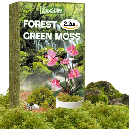 Natural Sphagnum Moss, 2.2 lbs Moss for Indoor Plant Repotting | For Orchids, Succulents, Potted Indoor Plants Natural Sphagnum Retains Moisture, Improves Soil Aeration, Reduces Root Rot - size: 2.2 LB
