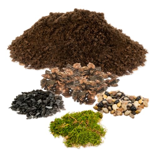 DIY Terrarium Kit for Succulents & Air Plants, Terrarium Starter Kit with Organic Soil, Orchid Bark, Horticultural Charcoal, River Rocks & Preserved Moss for Fairy Gardens & Mini Terrariums (Large)