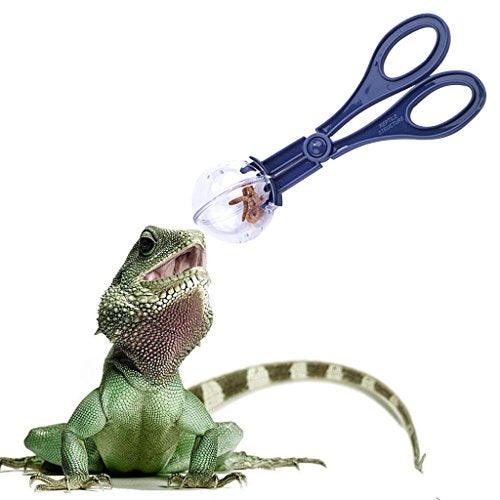 Reptile Feeding and Cleaning Tool, Amphibian Terrarium Spider Cricket Feeding Clamp Litter Clamp