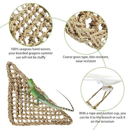 PINVNBY 5 PCS Bearded Dragon Hammock, Flexible Jungle Climber Reptile Vines Terrarium Decor Bearded Dragon Tank Accessories for Climbing, Chameleon, Lizards, Gecko, Snakes, Crested Gecko - size: 5 PCS