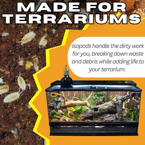 Dwarf White Isopods (Qty-25), Bioactive Clean Up Crew Frog Reptile Amphibian Food Bundle - by TC INSECTS