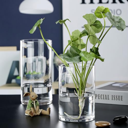 WGVI Quality Thick Clear Cylinder Glass Vase, 3" W x 5" H, Floral Container, Glass Candle Holder, Flower Vases, Wedding Centerpiece, Planter Terrarium, Table Top Home Décor Accent, 1 Piece - size: 3"x5"H