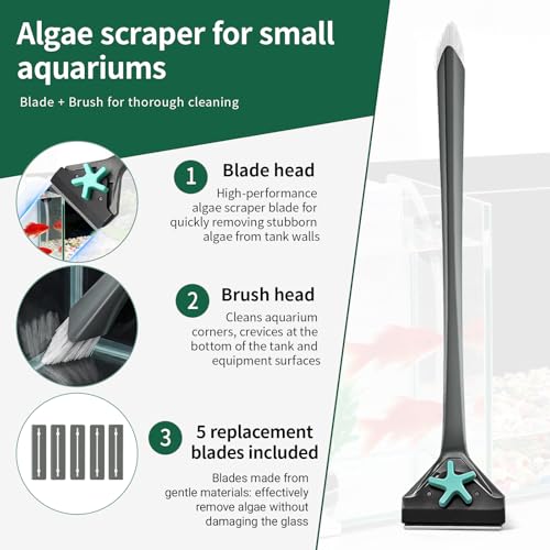 Aquarium Algae Scraper with Dual Head Design for Small Tanks | 2-in-1 stainless steel blade & soft brush.,Easy blade replacement,Safe glass cleaner for fish tank maintenance