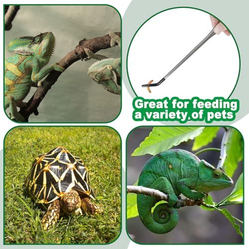 Stainless Steel Reptile Feeding Tongs 10.6" Straight and Curved Long | 2PCS Terrarium with Rubber Tip Aquascape Tools Feeder for Lizards, Bearded Dragon Snake Enclosure Tank Accessories