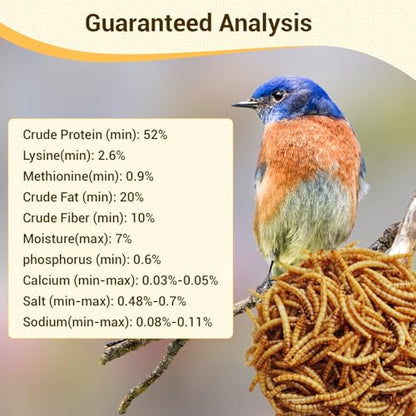 22lb Dried Mealworms for Chickens Duck High Protein Birds Treat | Hand Inspected Poultry Feed, Wild Birds and Chicken Treats, Laying Hens & Bluebirds Food, Worms Fed a Clean Natural Diet - size: 22 Pound (Pack of 1), style: Mealworms
