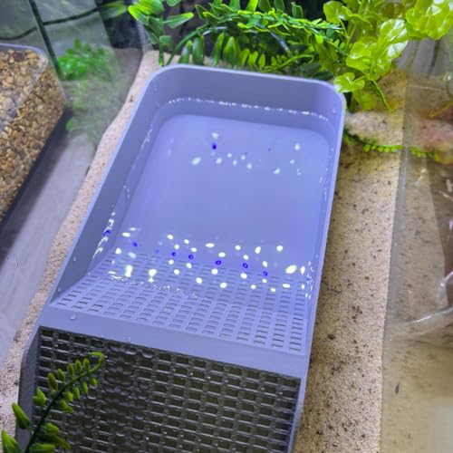 Hermit Crab, Lizard, Turtle, Amphibian XL Watering Pool | Platform Pool Accessory with Access Ramp for Pet Habitats | 9.75" x 5" | Made in USA (X-Large) (Salt Only, Gray) - color: Salt Only, Gray