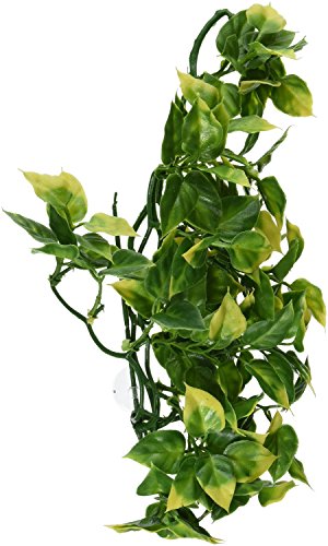 Hagen Exo Terra Plastic Terrarium Plant, Medium, Amapallo - color: Blue, size: Medium