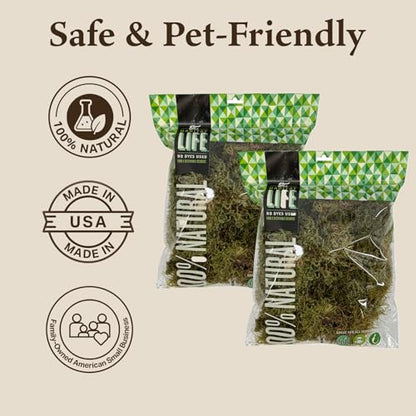 Deco Moss for Terrarium Habitats, Medium 2-Pack | Preserved Moss for Reptiles, Amphibians & Invertebrates Terrariums, Humidity Control, Soft, Dye-Free, Family Owned, USA Made - size: Medium 2-pack, style: Deco Moss