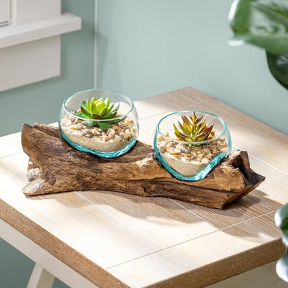 Cape Craftsmen Set of 2 Terrariums | Hand-Blown Blue Tinted Bubble Glass On Natural Teak Driftwood Terrarium | Home Décor Indoor Planter with Stand | Pot for Succulent and Plants - size: Set of 2 (With Stand)