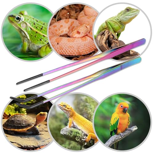 Stainless Steel Reptile Feeding Tweezers (with Non-Slip Rubber Tips) - 10.6-inch Straight & Curved Tweezers for Terrariums - Specialized Feeding Tools for Lizards & Bearded Dragons - 2-Piece Set