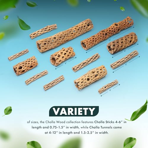 Natural Cholla Wood - Driftwood for Aquariums, Air Plant Base, Hermit Crab and Freshwater Shrimp Hideout, Fish Tank Decoration, Chinchilla Chews, Reptile Habitat Wood - 6 Inch, 2pc - size: 6 inch (Pack of 2)