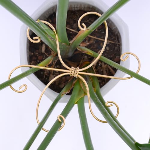 7.5In Monstera Plant Stem Support Hook Set-5PCS Metal stem Holder | Premium Stem Support for Monstera & Fishbone,Essential Growth Stabilizers for Leaf Support,Ideal Gift for Plant Lovers - size: 7.5 x 7.5 inches