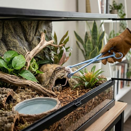 HEEPDD Reptile Feeding Tongs 9.64 Inch Stainless Steel Tweezers for Bearded Dragon Lizard Snake Supplies Accessories