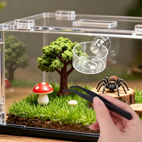 4pcs Jumping Spider Feeding Dish Set, Including Magnetic Water Bowl Dishes Dropper & Tweezer Small Pets Food Magnet Accessories for Tarantulas Reptiles Enclosure Supplies Dispenser Hide