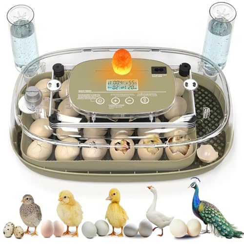 Incubators for Hatching Eggs,24 Eggs Capacity with Automatic Turning, Accurate Temp & Humidity Control, Egg Candler, Air Vent, 360° Viewing for Chicken, Duck, Quail & Goose Eggs
