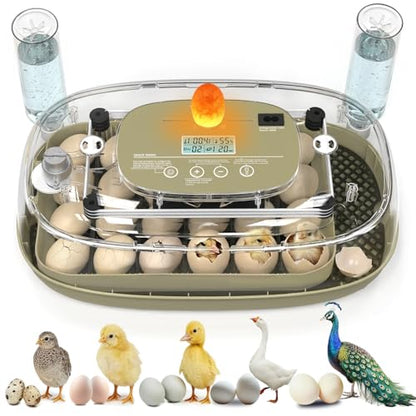 Incubators for Hatching Eggs,24 Eggs Capacity with Automatic Turning, Accurate Temp & Humidity Control, Egg Candler, Air Vent, 360° Viewing for Chicken, Duck, Quail & Goose Eggs