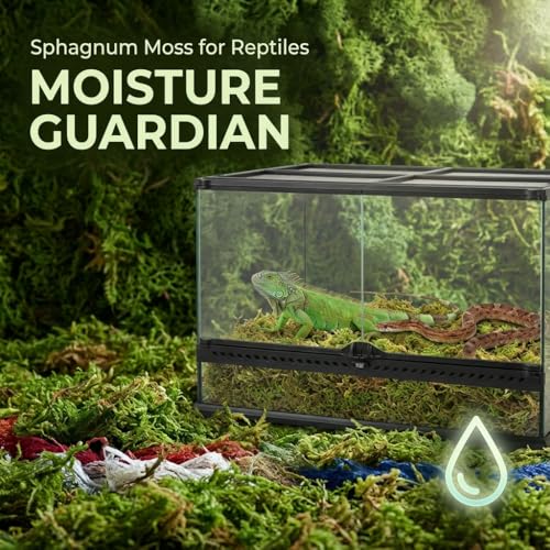 Sukh Sphagnum Moss for Reptiles - Terrarium Reptile Moss Substrate, 11.2 OZ | Habitat Bedding for Snake, Gecko, Turtle, Frog, Bearded Dragon, Jumping Spider, Chameleon, Enclosure & Tank Accessories Decor - size: 11.2 Ounces