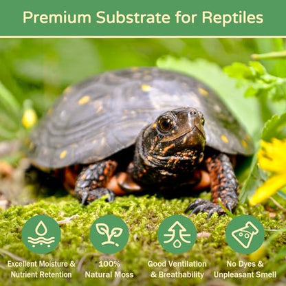Riare 1.1LB Natural Sphagnum Moss for Reptiles- Terrarium Reptiles Moss | 25QT High Expansion, Moisture Retention, Long Fiber Dried Moss Bedding for Lepard Gecko Snakes Turtles Frogs Spiders - color: 1.1 LB