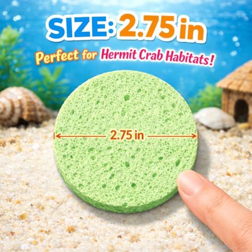 Green Sponge Accessories for Hermit Crab Habitat, Moisture Supply for Maintaining Tank Humidity, 10PCS