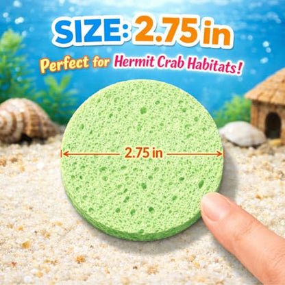 Green Sponge Accessories for Hermit Crab Habitat, Moisture Supply for Maintaining Tank Humidity, 10PCS
