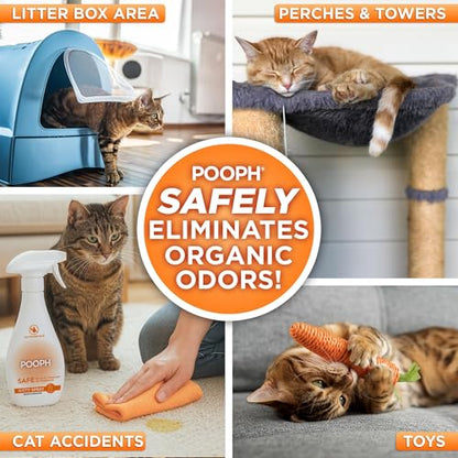 POOPH Kitty Odor Eliminator Spray for Cats, 32 fl oz | Helps eliminate cat odors on furniture, bedding, litter areas, and more. Fragrance-free 32 oz spray