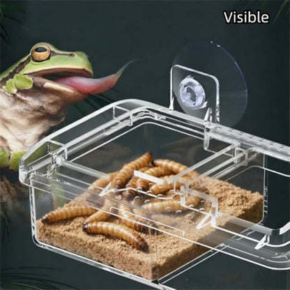 Escape Proof Small Reptile Feeding Dishes with Suction Cup | Mealworms Bug Feeder, Anti-Escape Food Bowl, Transparent Clear Plastic, Leopard Gecko Bearded Dragon Terrarium Accessories