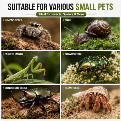 Jumping Spider Enclosure, Insect Terrarium, Bug Cage, Acrylic Terrarium for Tarantula, Snail, Praying Mantis, Frog, and Small Reptiles (3.5" x 3.5" x 5.9") - size: 3.5" x 3.5" x 5.9"