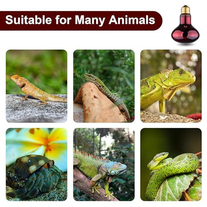 Reptile Heat Lamp Bulb, 100W Infrared Heat Light Bulbs, Red Basking Spot Lightbulb for Snake, Tortoise, Bearded Dragon, Lizard, Chicks, Turtle, Chickens, Pets - 2 Pack - size: Red