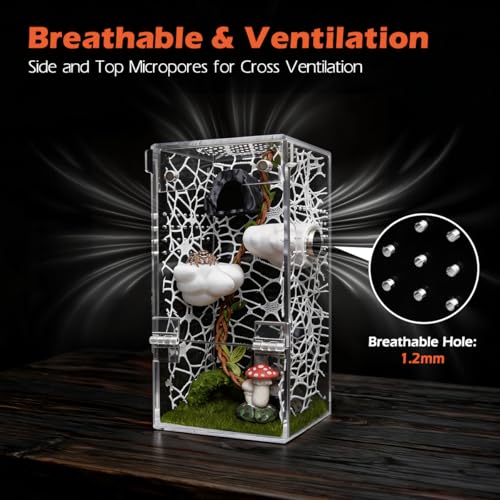 AZV Jumping Spider Enclosure Clouds Kit,Escape Proof Praying Mantis Habitat | Small Magnetic Front Door Tarantula Cribs Ventilation Spider Cage,Transparent Acrylic Reptile Tank,Bug Terrarium,Snail House - color: White, size: Small