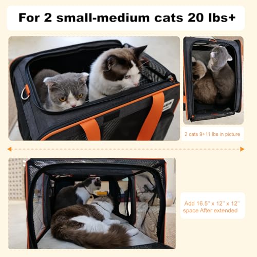 pidipiti 20x14x14 Expandable Large car Carrier for 1 Large /2 Medium Cats | pet Crate for Short Trip or Long road Travel,with zipper lock,pockets,good Visibility,leakproof. - size: 20"L x 14"W x 14"H